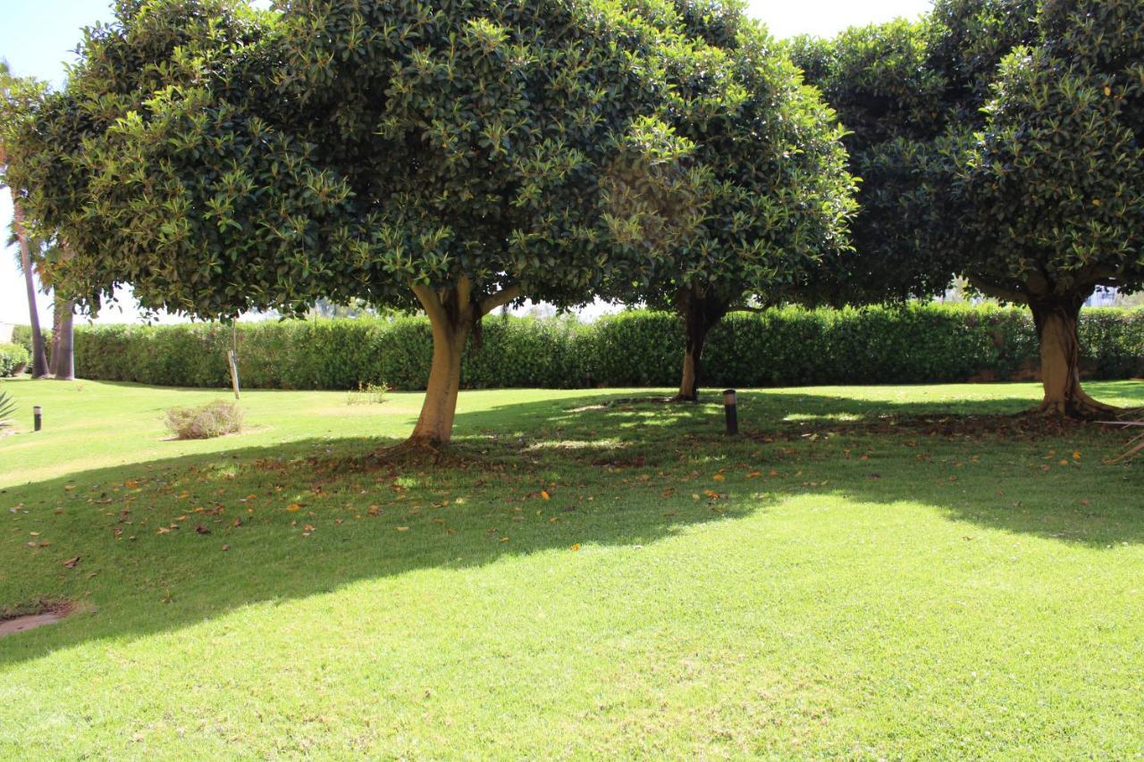 Apto. De 1 Dormitorio En Primera Linea De Playa. Isla Canela Huelva Exterior photo